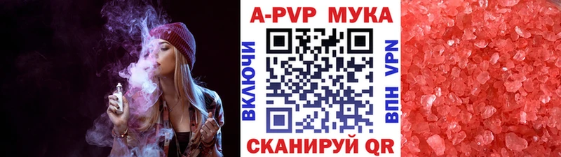 Альфа ПВП СК КРИС  Чайковский 