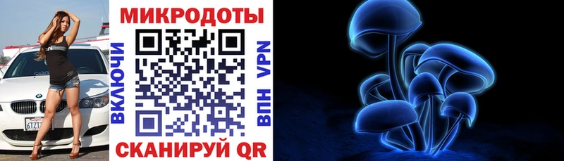 omg сайт  Чайковский  Галлюциногенные грибы Psilocybine cubensis  закладка 