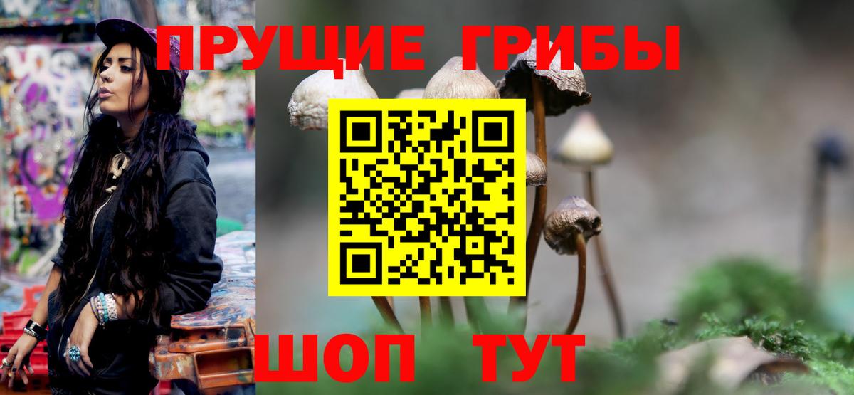 Галлюциногенные грибы MAGIC MUSHROOMS  Вход с VPN  Чайковский 